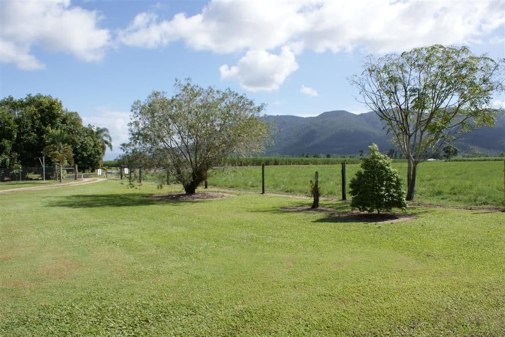 447 Bulgun Road, TULLY QLD 4854, Tully - Thumbnail 2