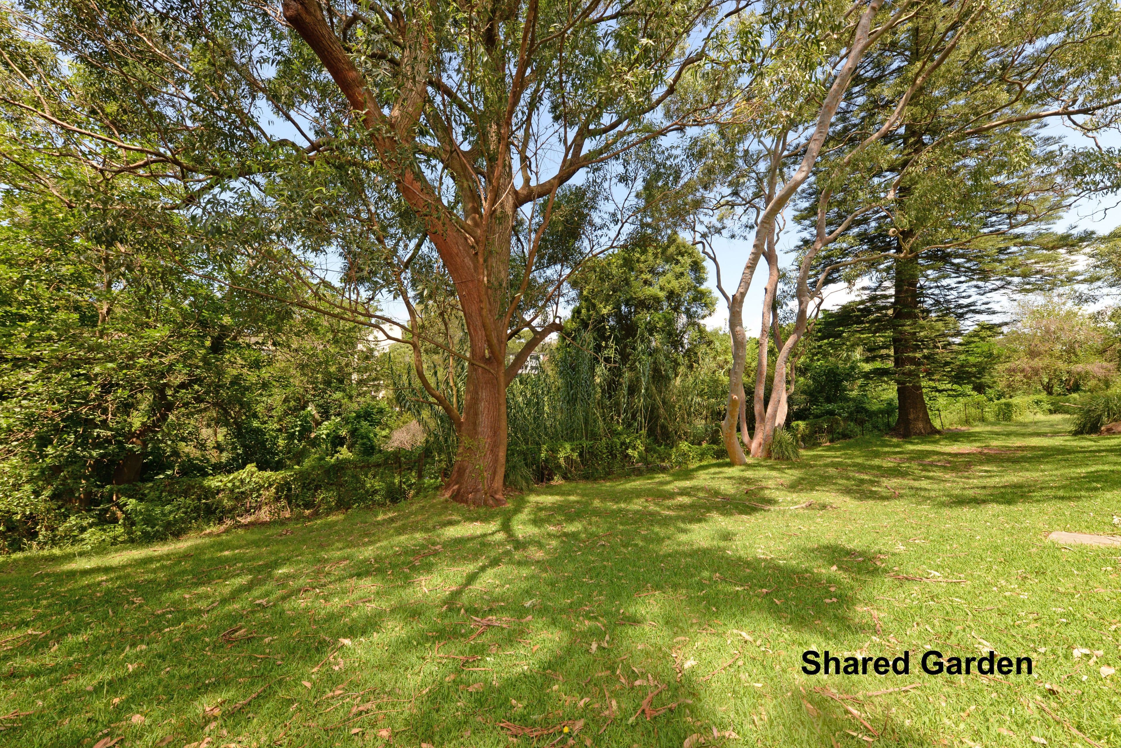63-65 St Marks Road, Randwick NSW 2031, Randwick - Thumbnail 7