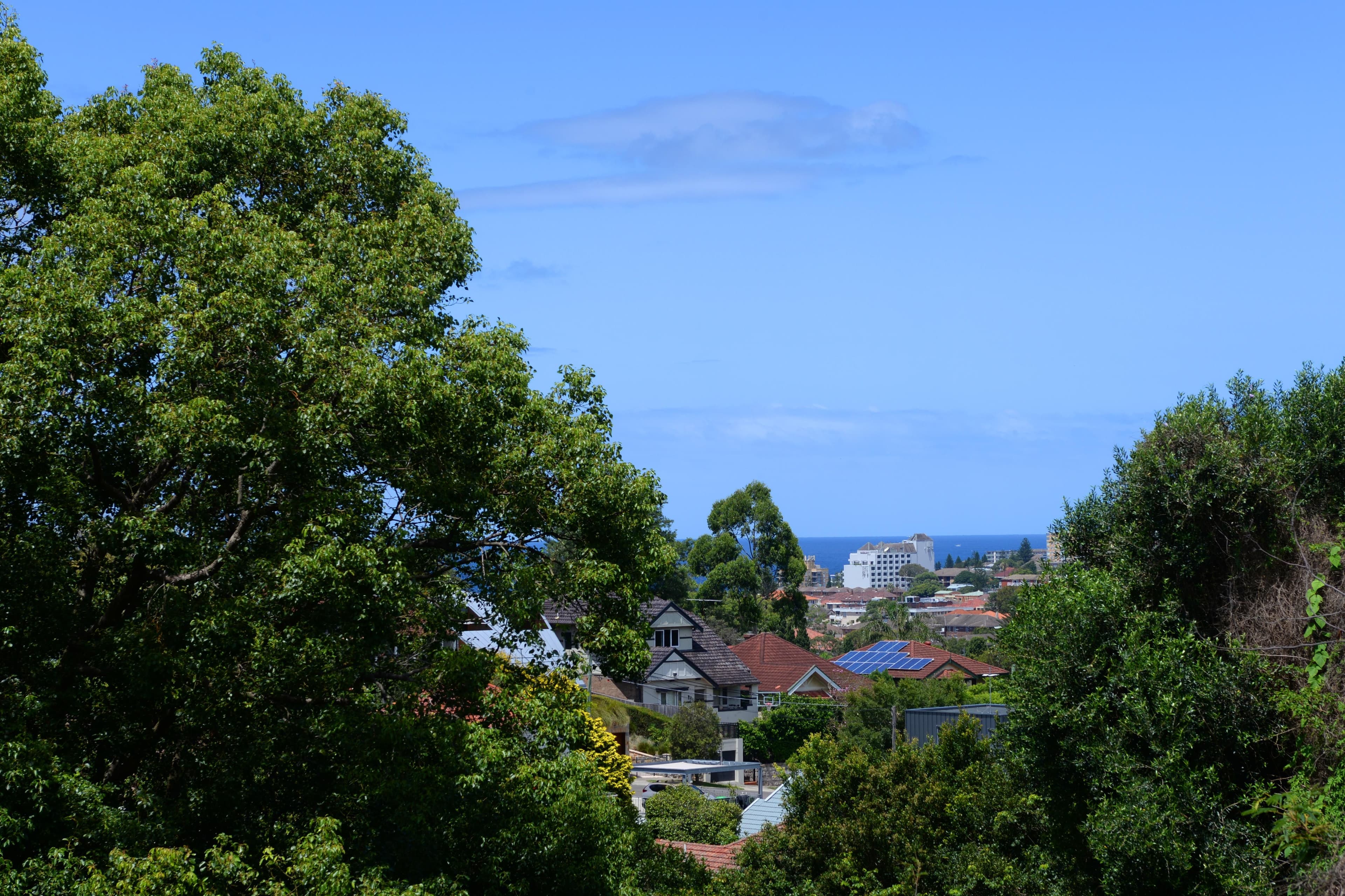63-65 St Marks Road, Randwick NSW 2031, Randwick - Thumbnail 8