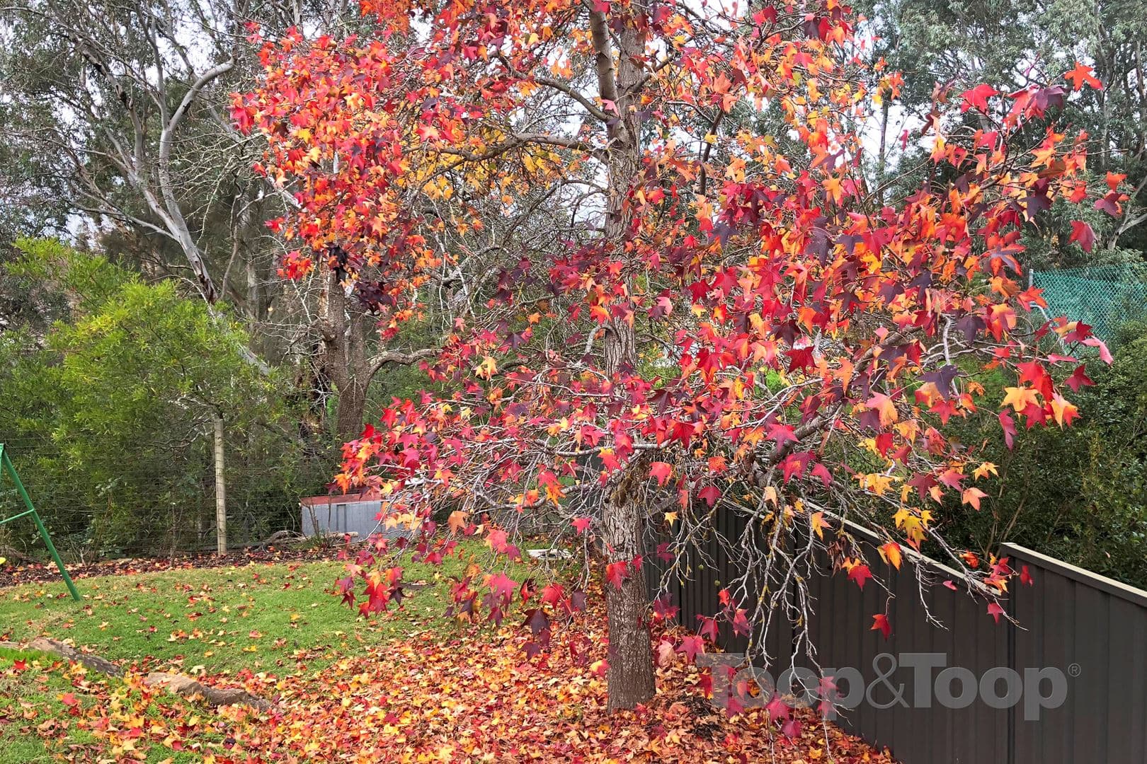 7a Hereford Avenue, Hahndorf SA 5245, Hahndorf - Thumbnail 5