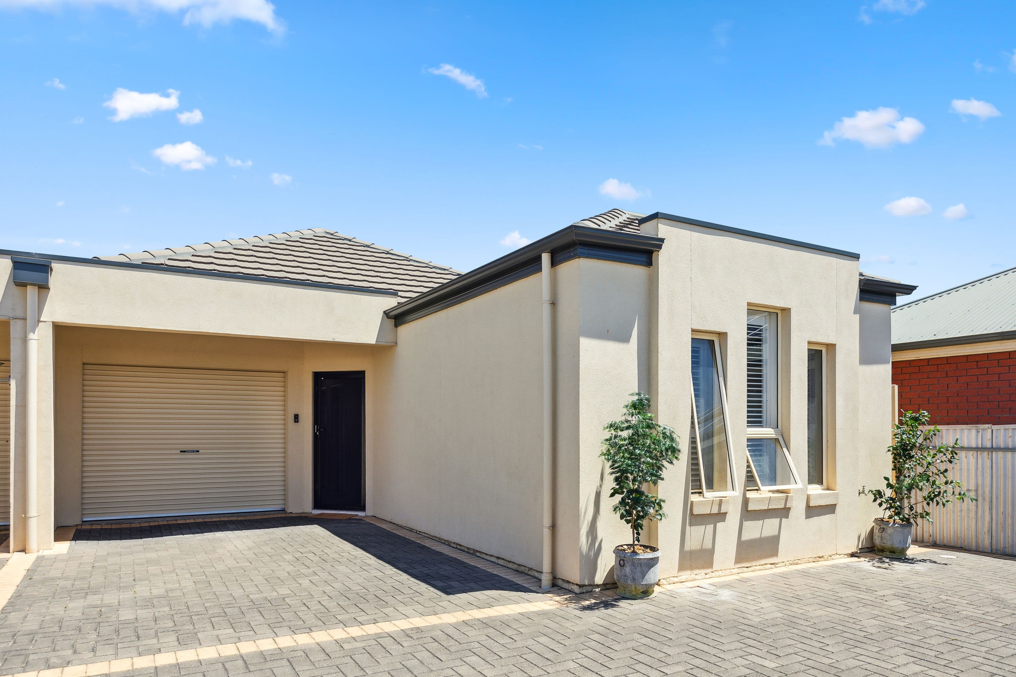 19 Raymond Avenue, Seaton SA 5023, Seaton - Thumbnail 2