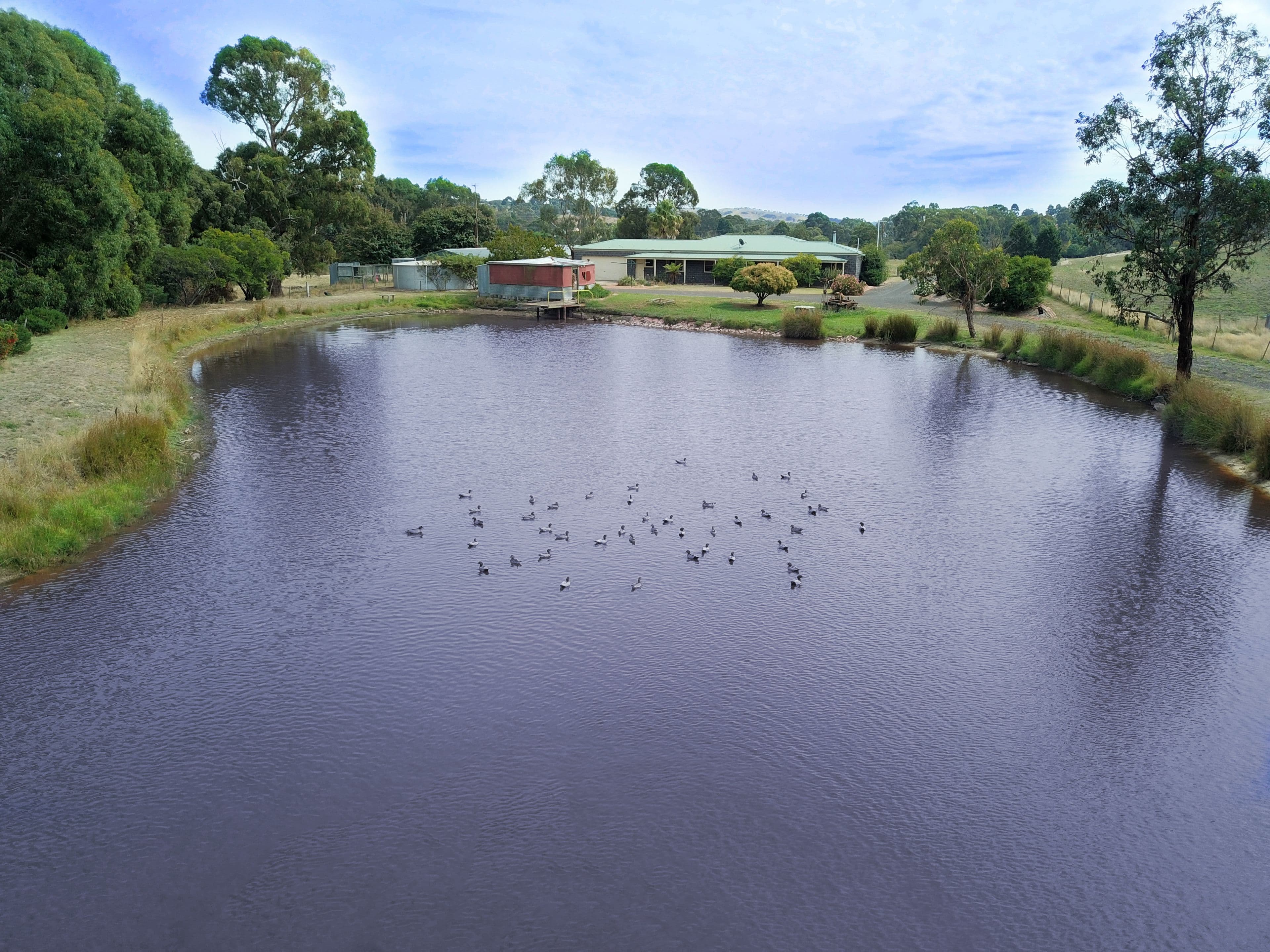 10 Broadford-Wandong Road, Wandong VIC 3758, Wandong - Thumbnail 2