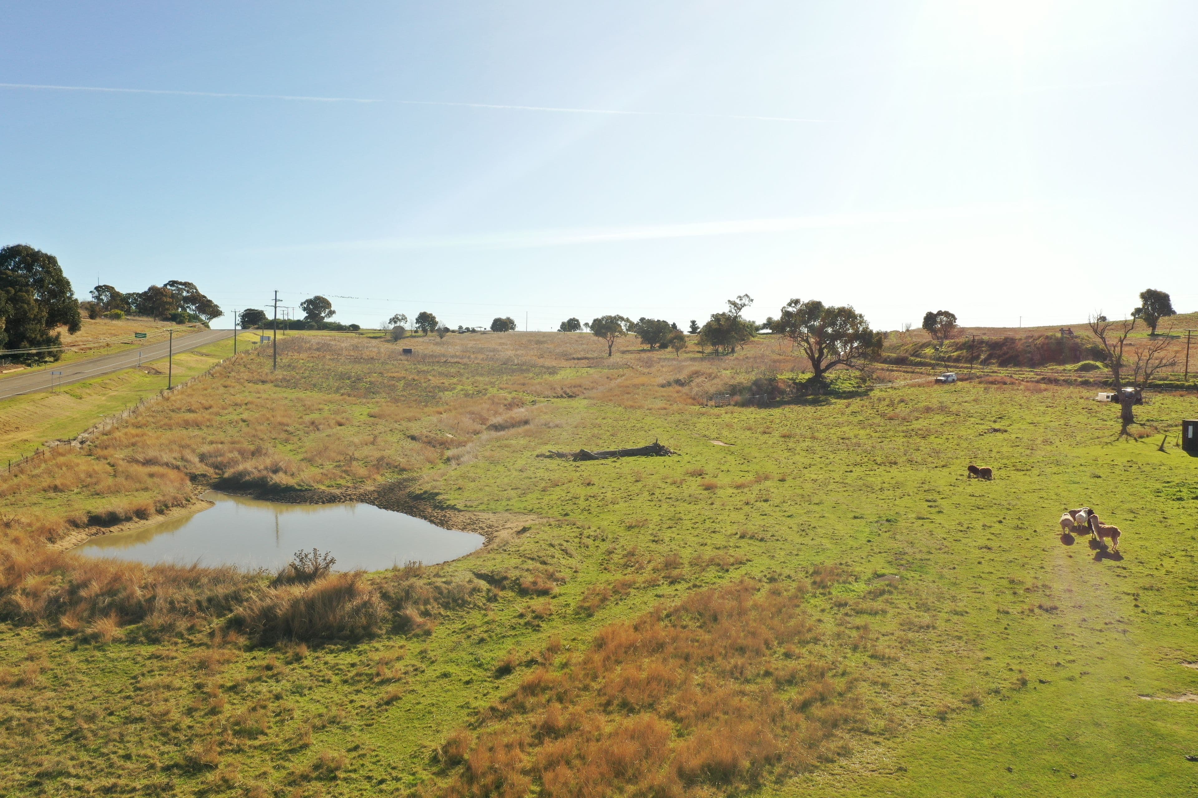 Lot 1 "Fernleigh" Burley Griffin Way, Harden NSW 2587, Harden - Thumbnail 3
