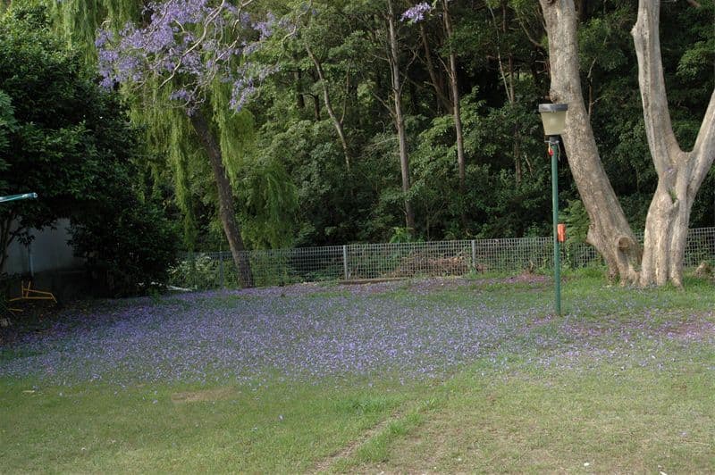 12  Corrie Road, WOONONA NSW 2517, Woonona - Thumbnail 8