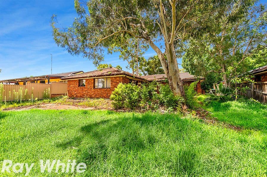 66 Ridgecrop Drive, Castle Hill NSW 2154, Castle Hill - Thumbnail 5