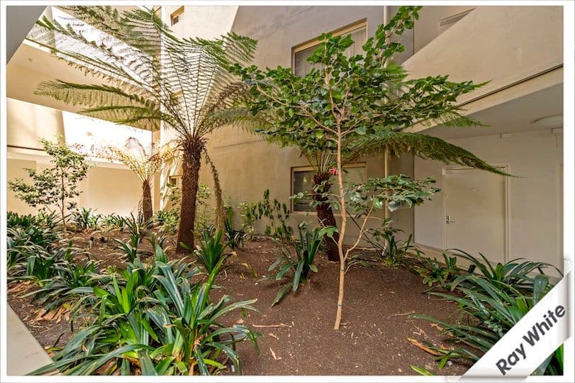 12 Waniassa Street, Queanbeyan East - Thumbnail 2