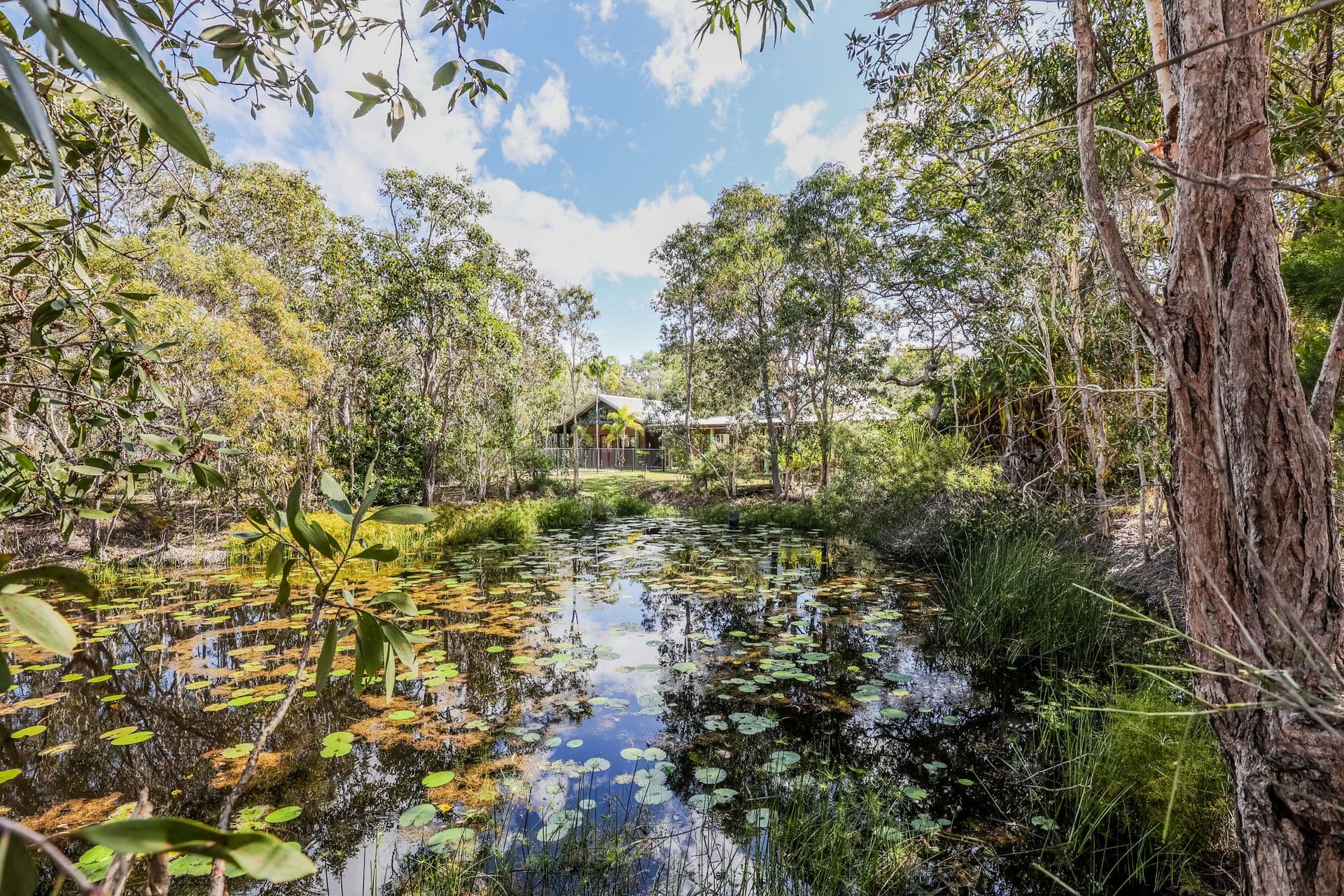 223 Bicentennial Drive, Agnes Water QLD 4677, Agnes Water - Thumbnail 4