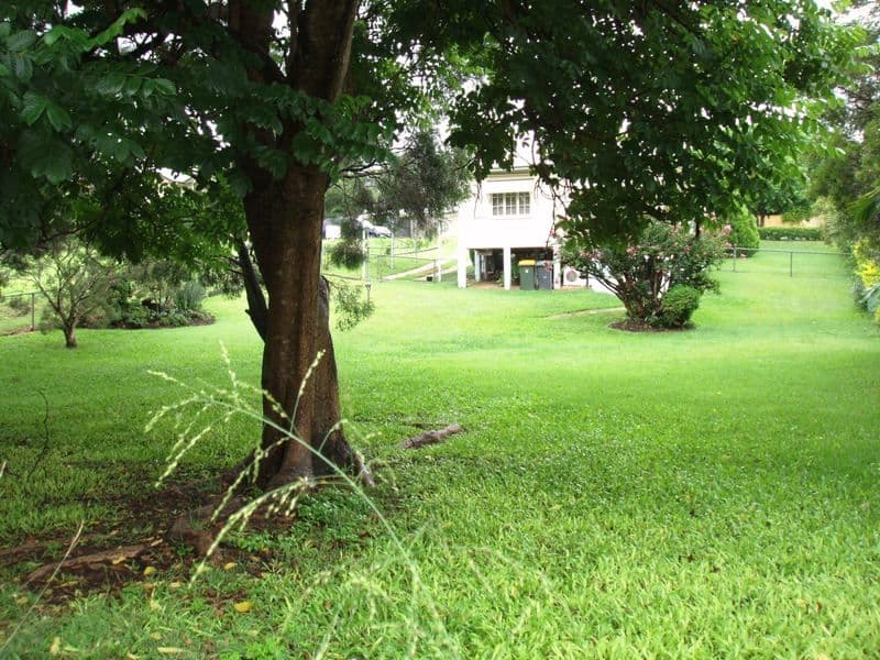 22 Newland Street, Flynn, ACT, 2615, Flynn - Thumbnail 3