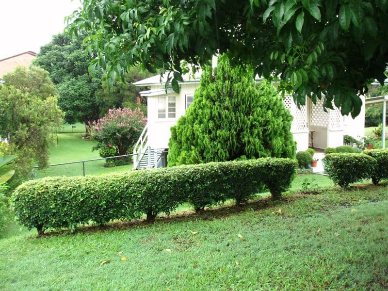 22 Newland Street, Flynn, ACT, 2615, Flynn - Thumbnail 5