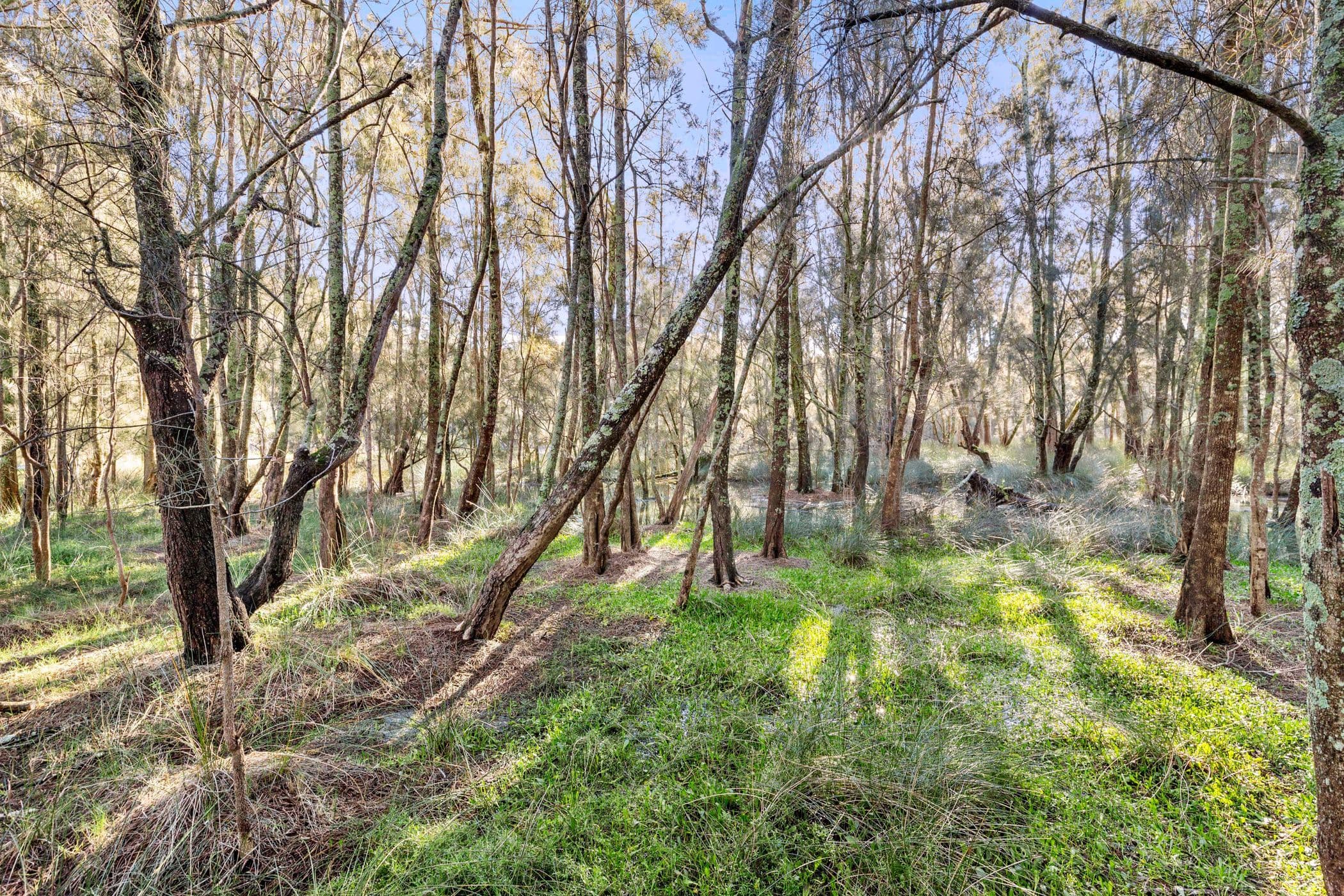 37-39 Connells Close, Mossy Point NSW 2537, Mossy Point - Image 1