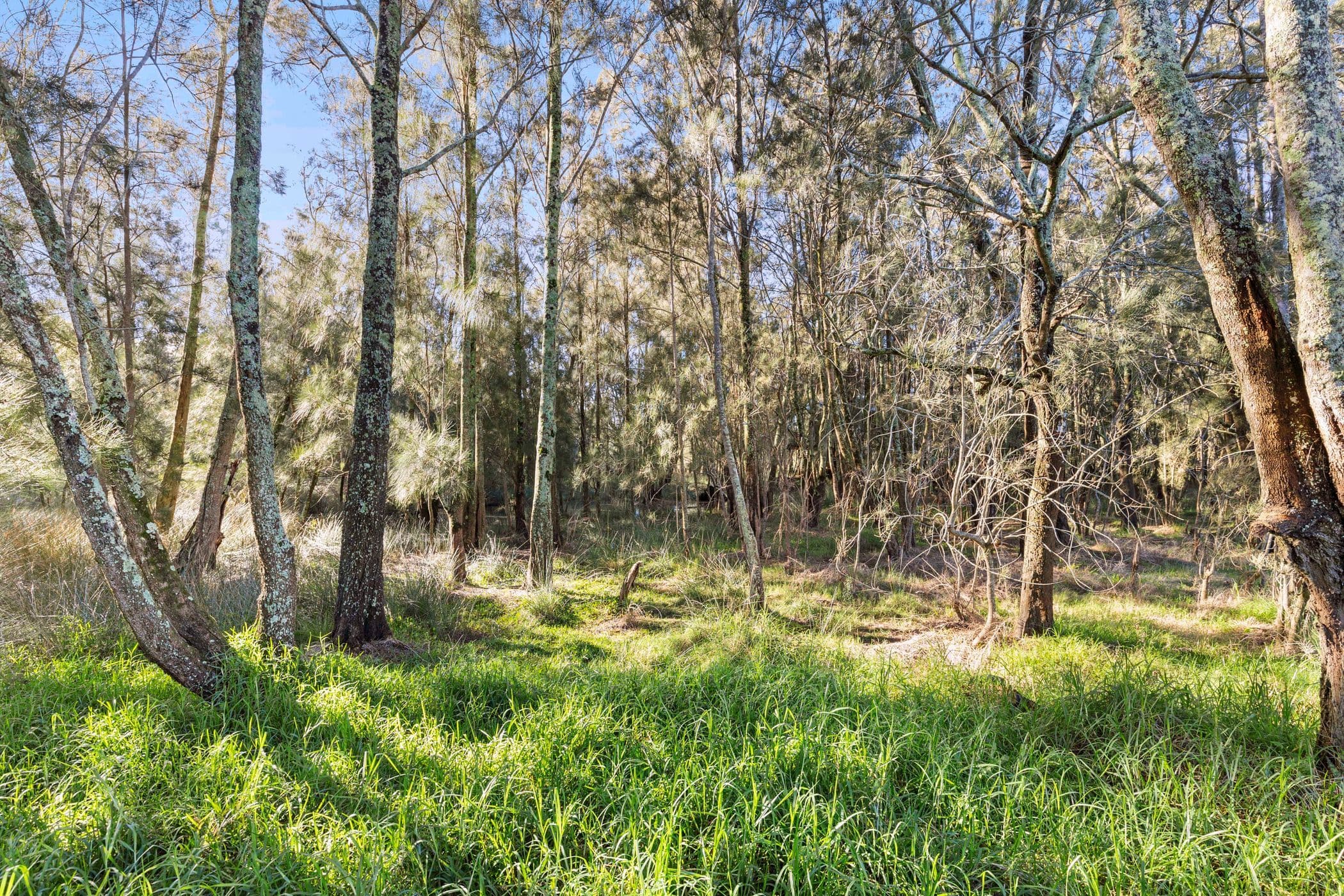 37-39 Connells Close, Mossy Point NSW 2537, Mossy Point - Thumbnail 2