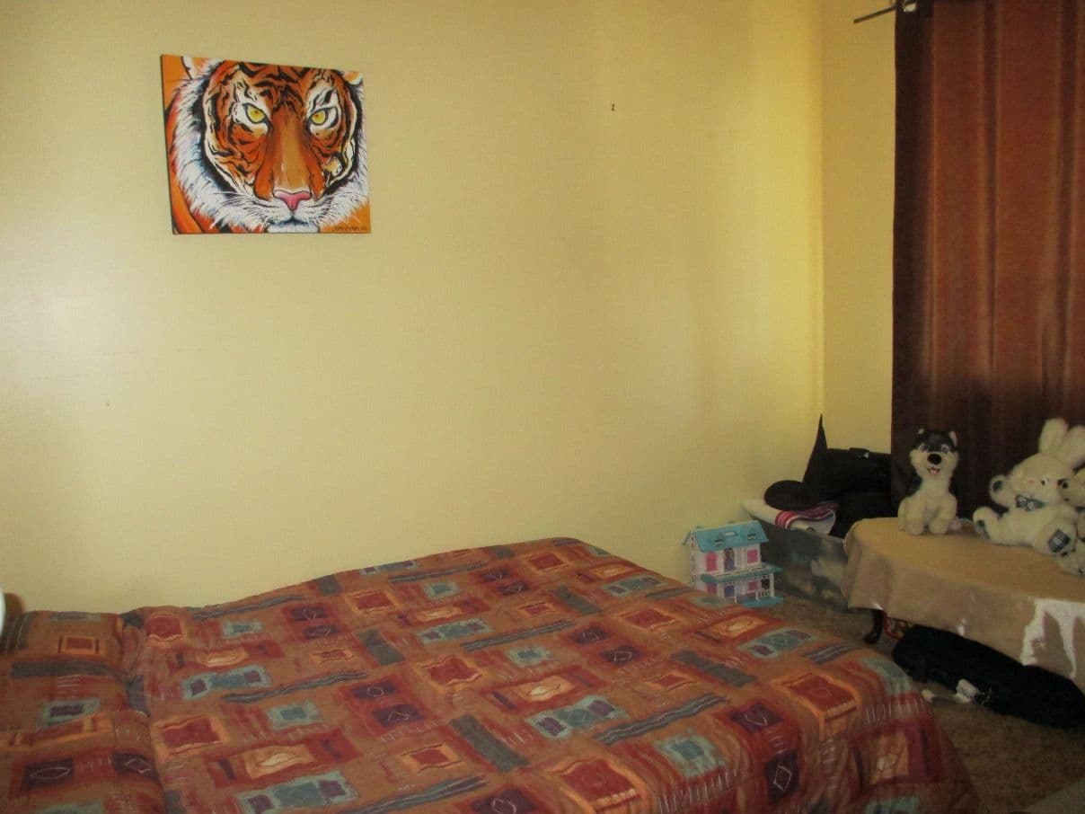 52 Beryl Street, BROKEN HILL NSW 2880, Broken Hill - Thumbnail 5