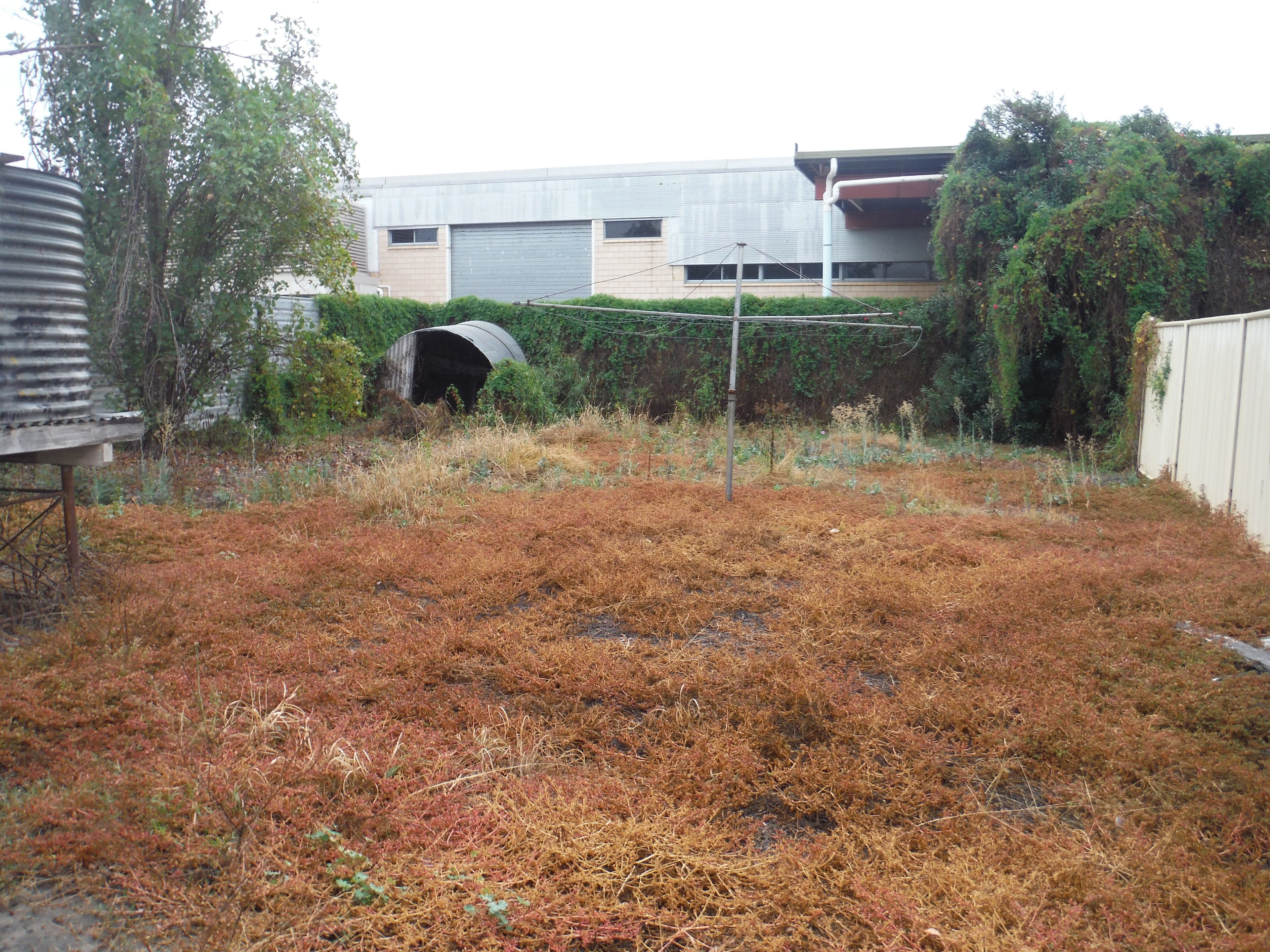 51 Station Street, Roma QLD 4455, Roma - Thumbnail 5