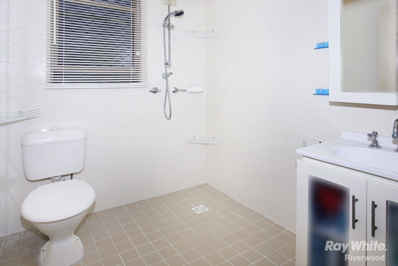 15 CHICK Street, Roselands NSW 2196, Roselands - Thumbnail 6
