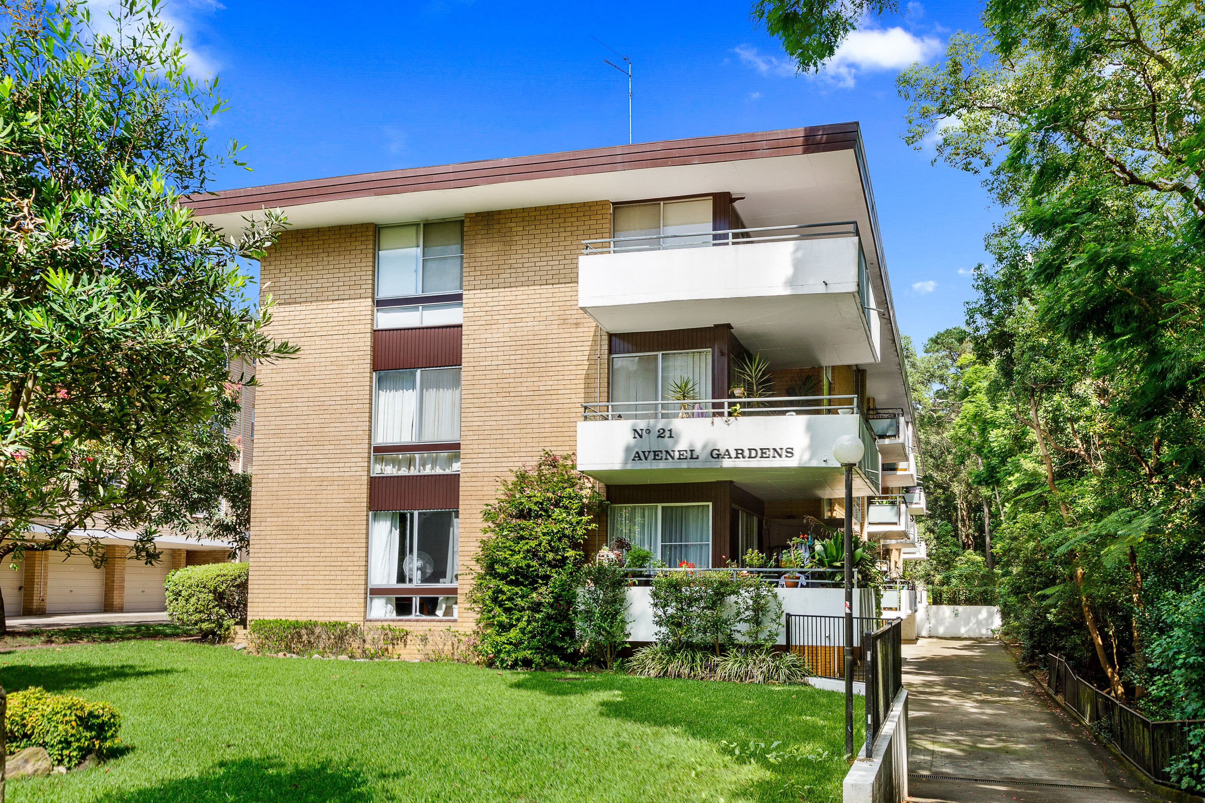 21 Ray Road, Epping NSW 2121, Epping - Thumbnail 6