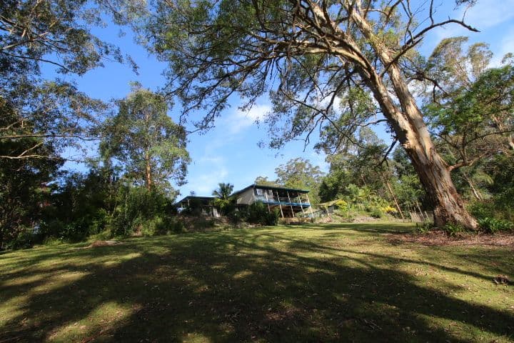 810a Eastbank Road, Coramba NSW 2450, Coramba - Thumbnail 5