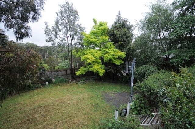 11 Cotoneaster Way, LANGWARRIN VIC 3910, Langwarrin - Thumbnail 3