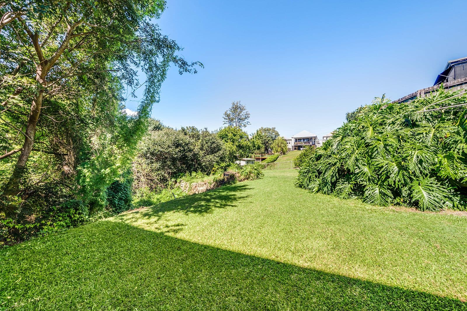 72 Cambridge Street, Red Hill QLD 4059, Red Hill - Thumbnail 8