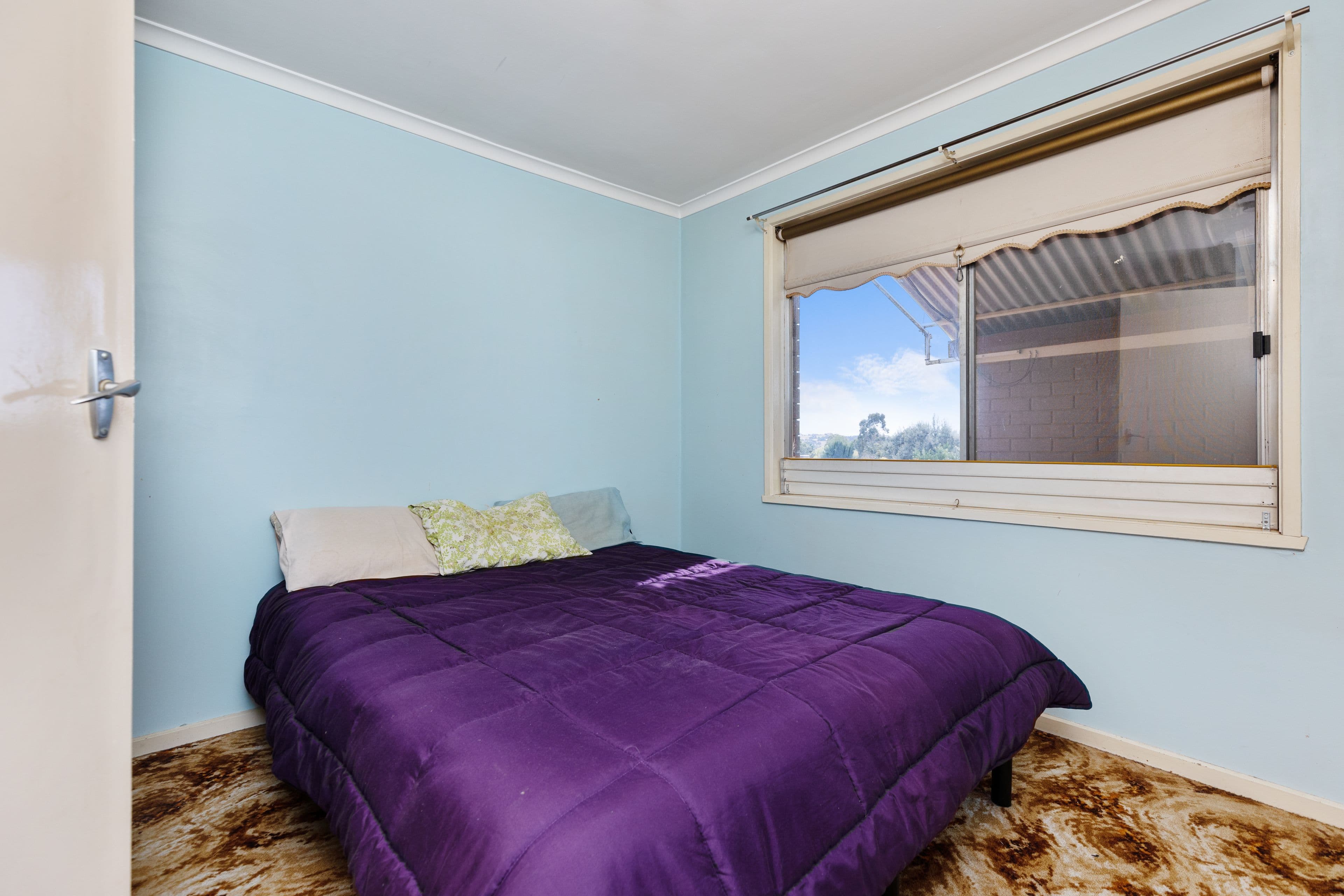 55 Percy Street, Junee NSW 2663, Junee - Thumbnail 7