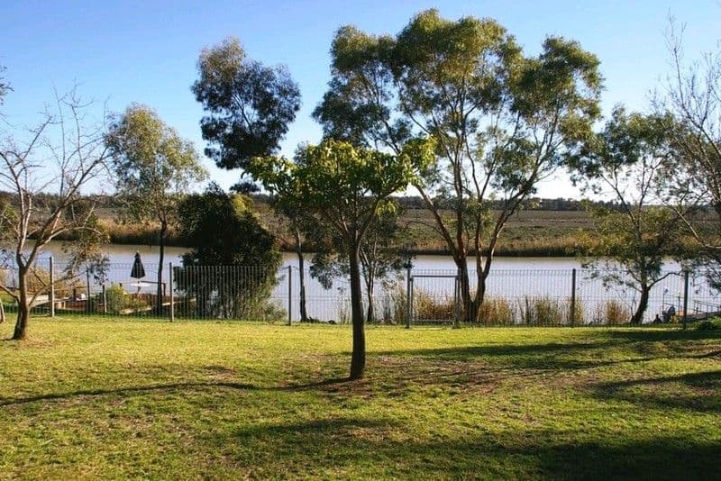 39 Meander Avenue, RENMARK SA 5341, Renmark - Thumbnail 2
