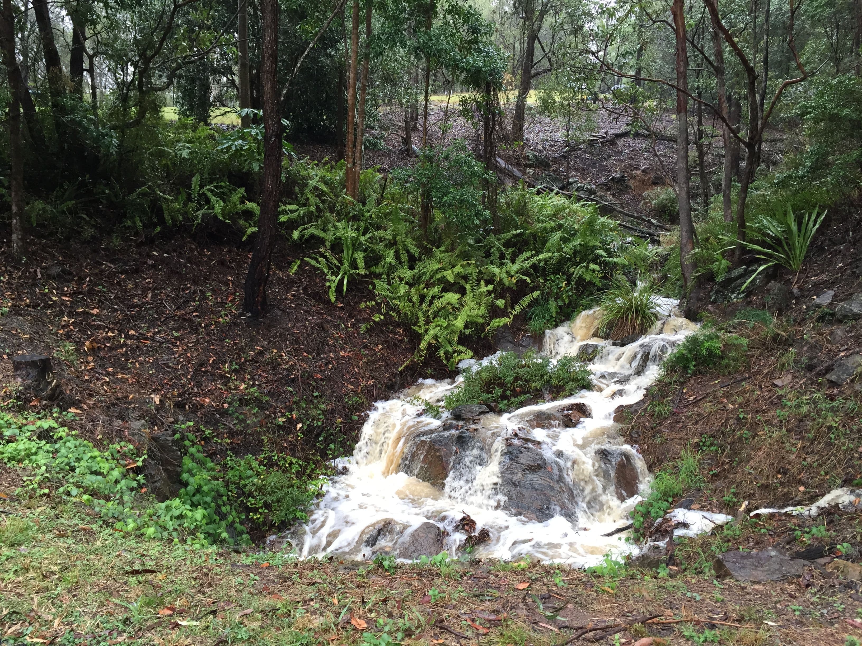 119 Dillon Road, The Gap QLD 4061, The Gap - Thumbnail 4