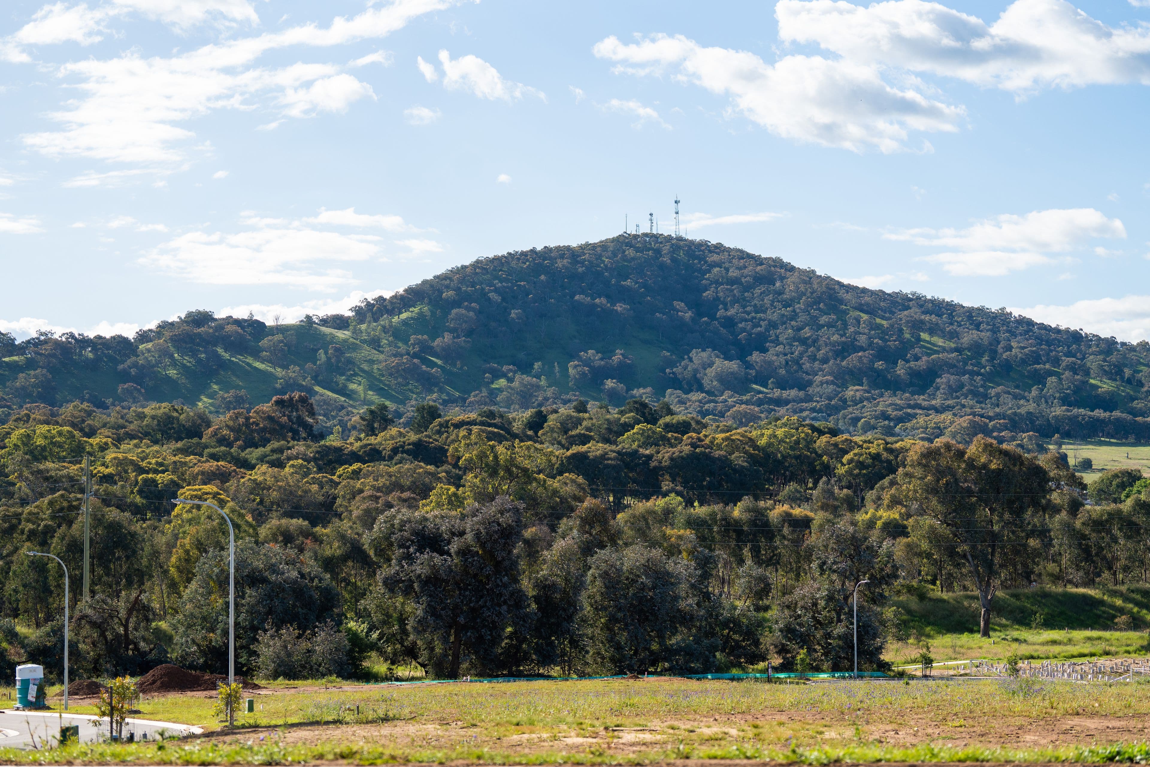 19 Bowerbird Court, THURGOONA NSW 2640, Thurgoona - Thumbnail 5