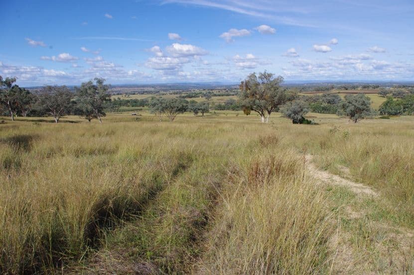 72 Mackie Lane, Inverell NSW 2360, Inverell - Thumbnail 4