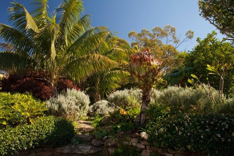 1 Norma Road, PALM BEACH NSW 2108, Palm Beach - Thumbnail 7
