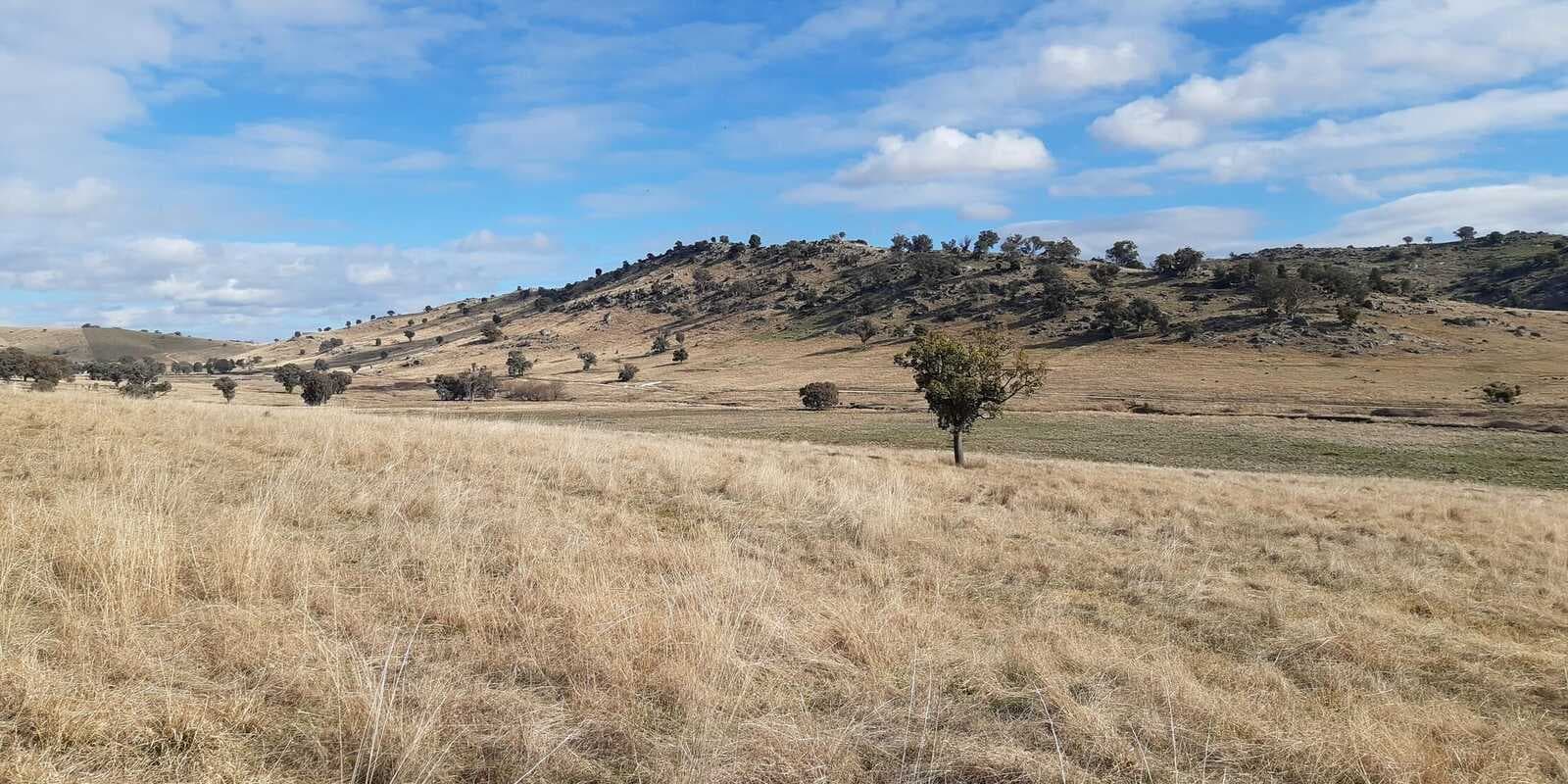 Mount Darling Road Wyangala, Wyangala - Image 1