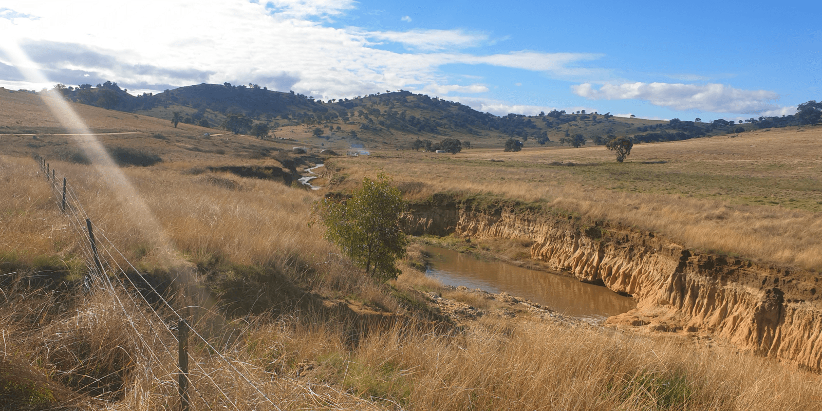 Mount Darling Road Wyangala, Wyangala - Thumbnail 6