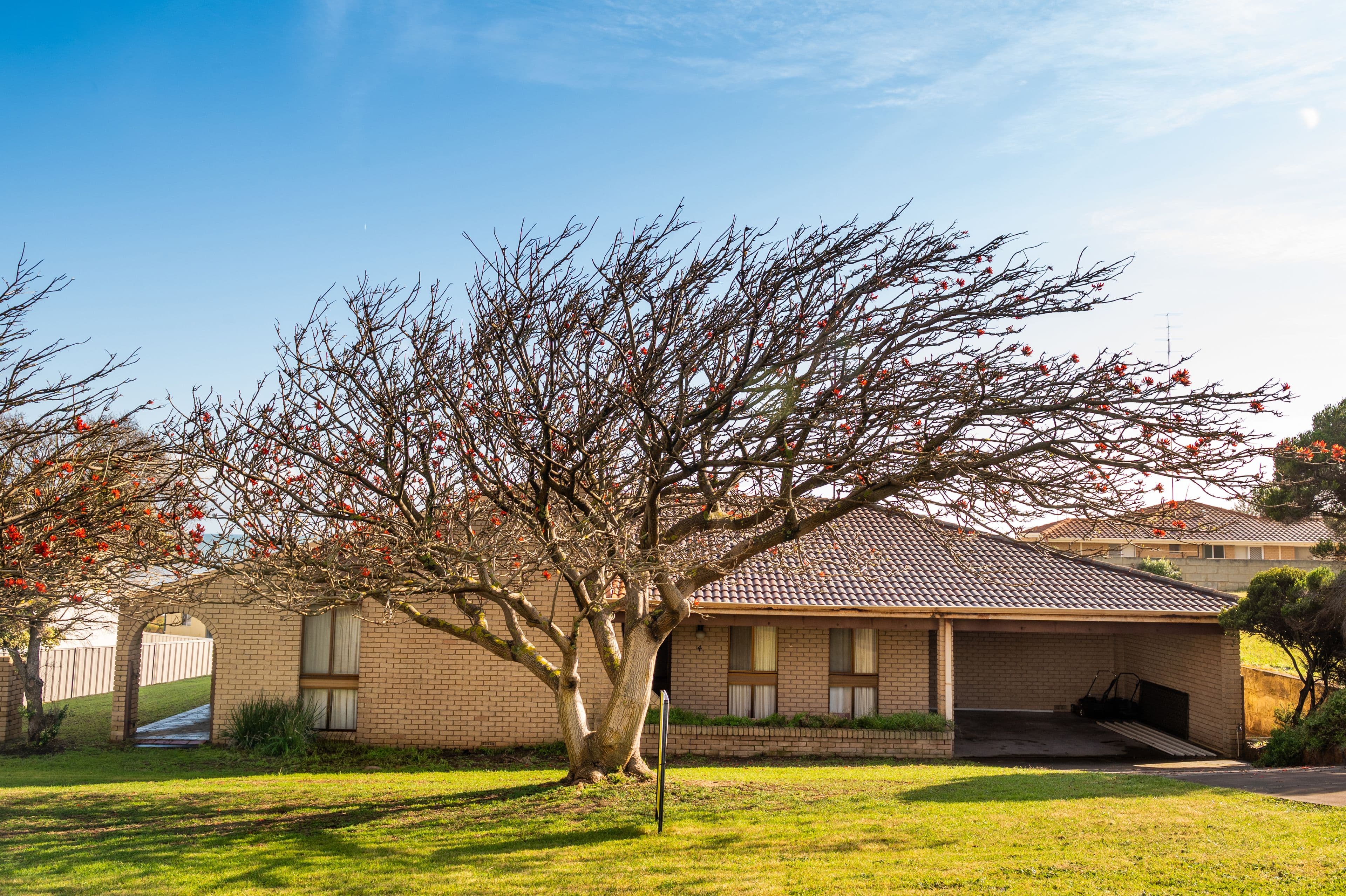 4 Stockley Road, Bunbury WA 6230, Bunbury - Thumbnail 2
