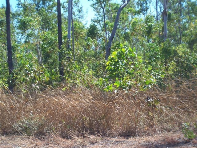 47 Honeysuckle Road, HERBERT NT 836, Herbert - Thumbnail 2