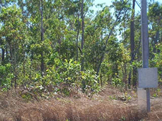 47 Honeysuckle Road, HERBERT NT 836, Herbert - Thumbnail 3
