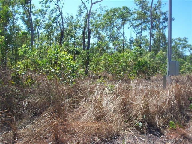 47 Honeysuckle Road, HERBERT NT 836, Herbert - Thumbnail 4