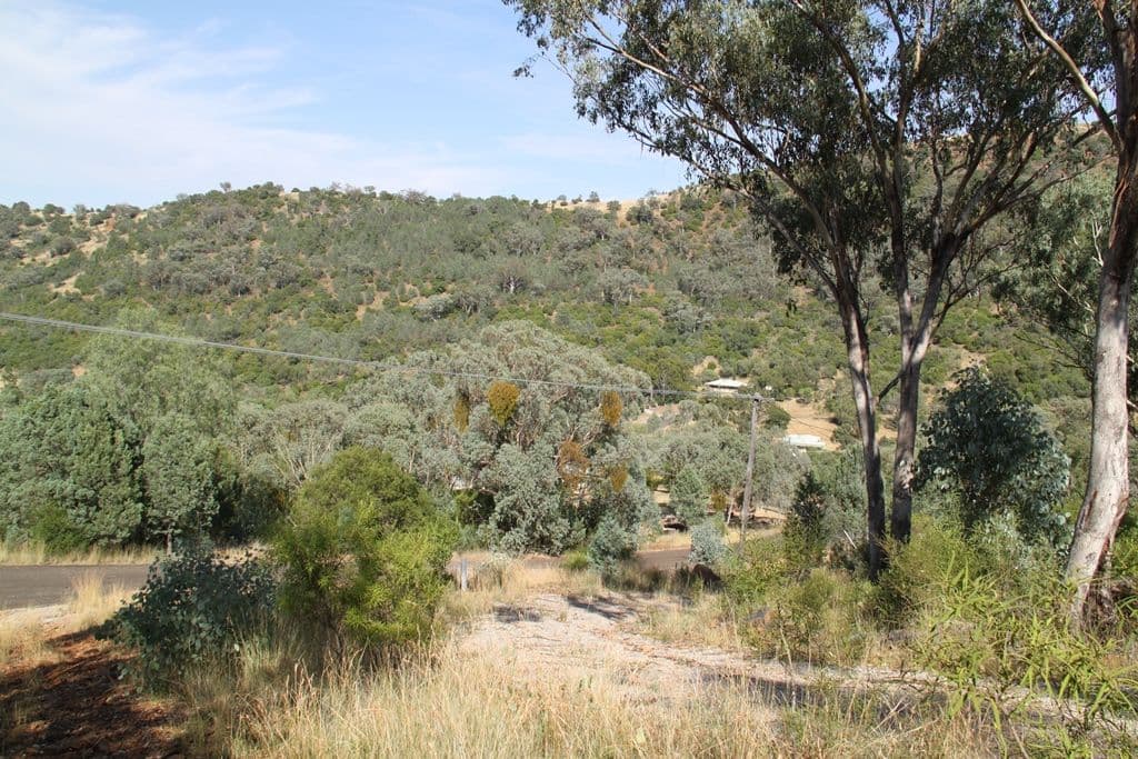 Lot 42 Katrina Court, Tamworth NSW 2340, Tamworth - Image 1