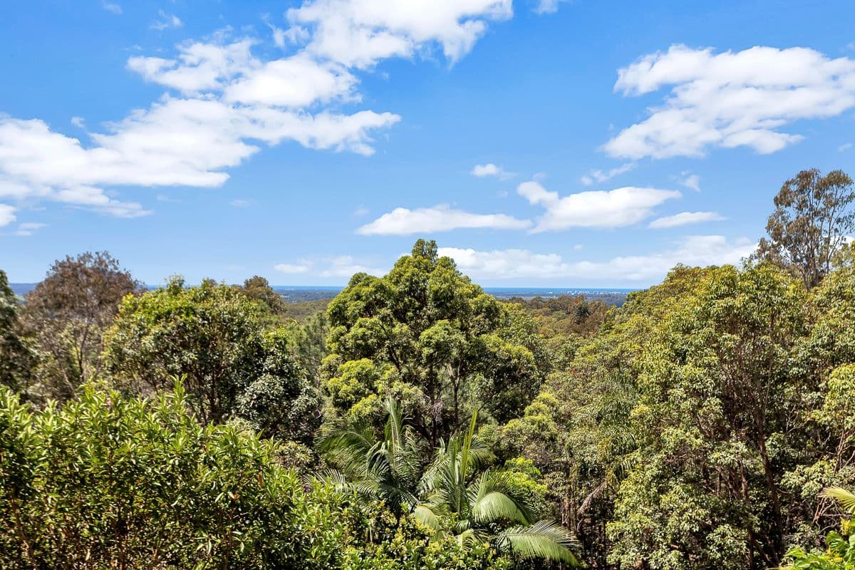 6 Cygnus Place, Bli Bli QLD 4560, Bli Bli - Thumbnail 3
