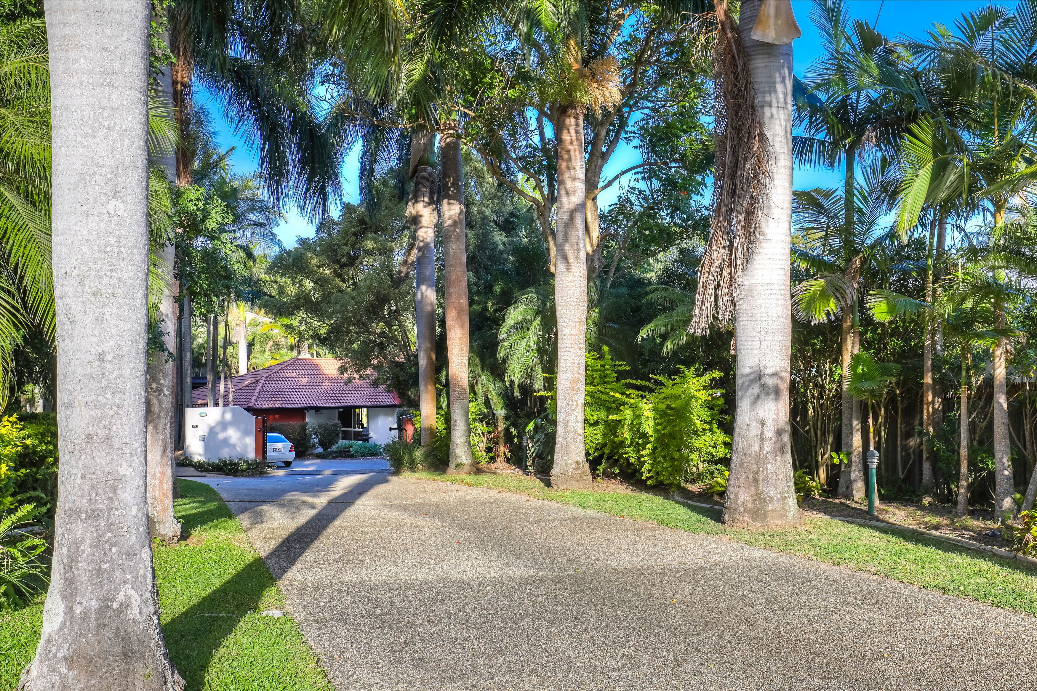 17 Alfriston Drive, Buderim QLD 4556, Buderim - Thumbnail 3