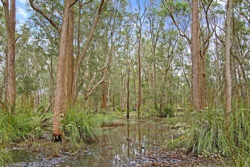 2 Moira Park Road, MORISSET NSW 2264, Morisset - Thumbnail 6