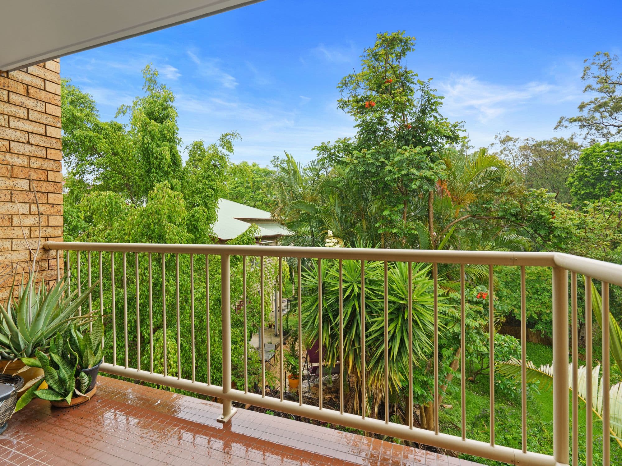 46 Ferndale Street, Annerley QLD 4103, Annerley - Thumbnail 7