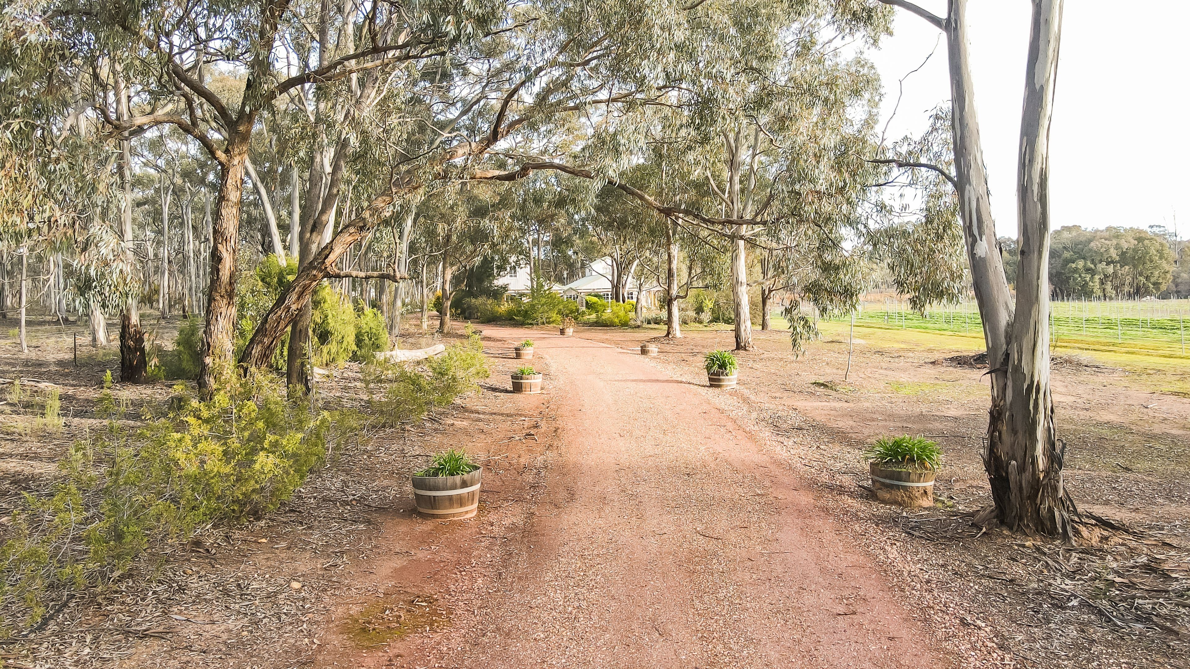 150 Yankee Creek Road, Wellsford VIC 3551, Wellsford - Thumbnail 3