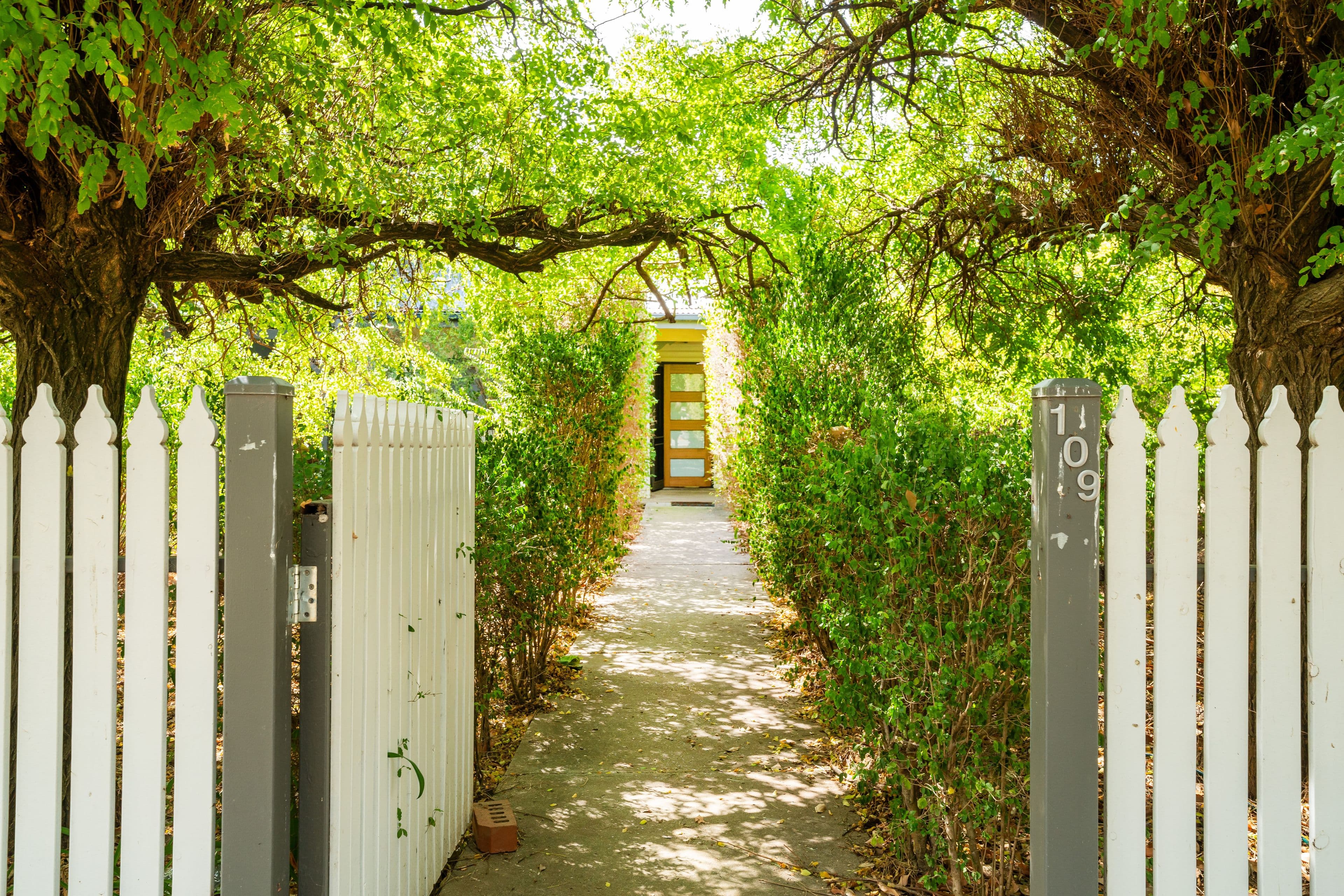 109 Mitchell Street, Jindera NSW 2642, Jindera - Thumbnail 5