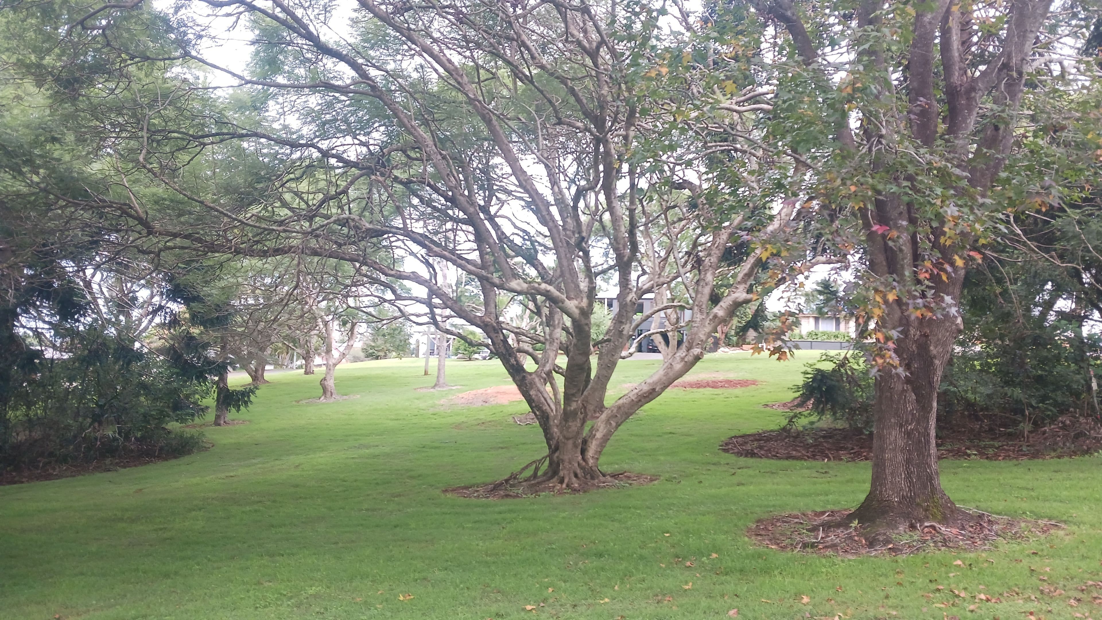 16-18 Golfers Crescent, Tamborine Mountain QLD 4272, Tamborine Mountain - Thumbnail 2