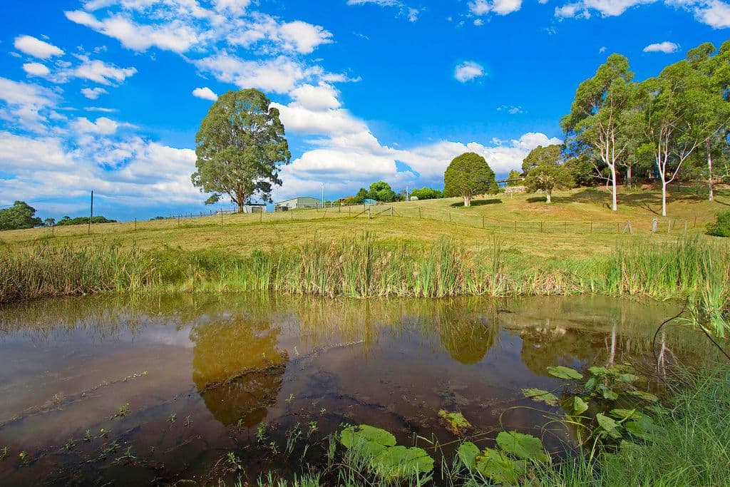 111 East Kurrajong Road, East Kurrajong - Thumbnail 6