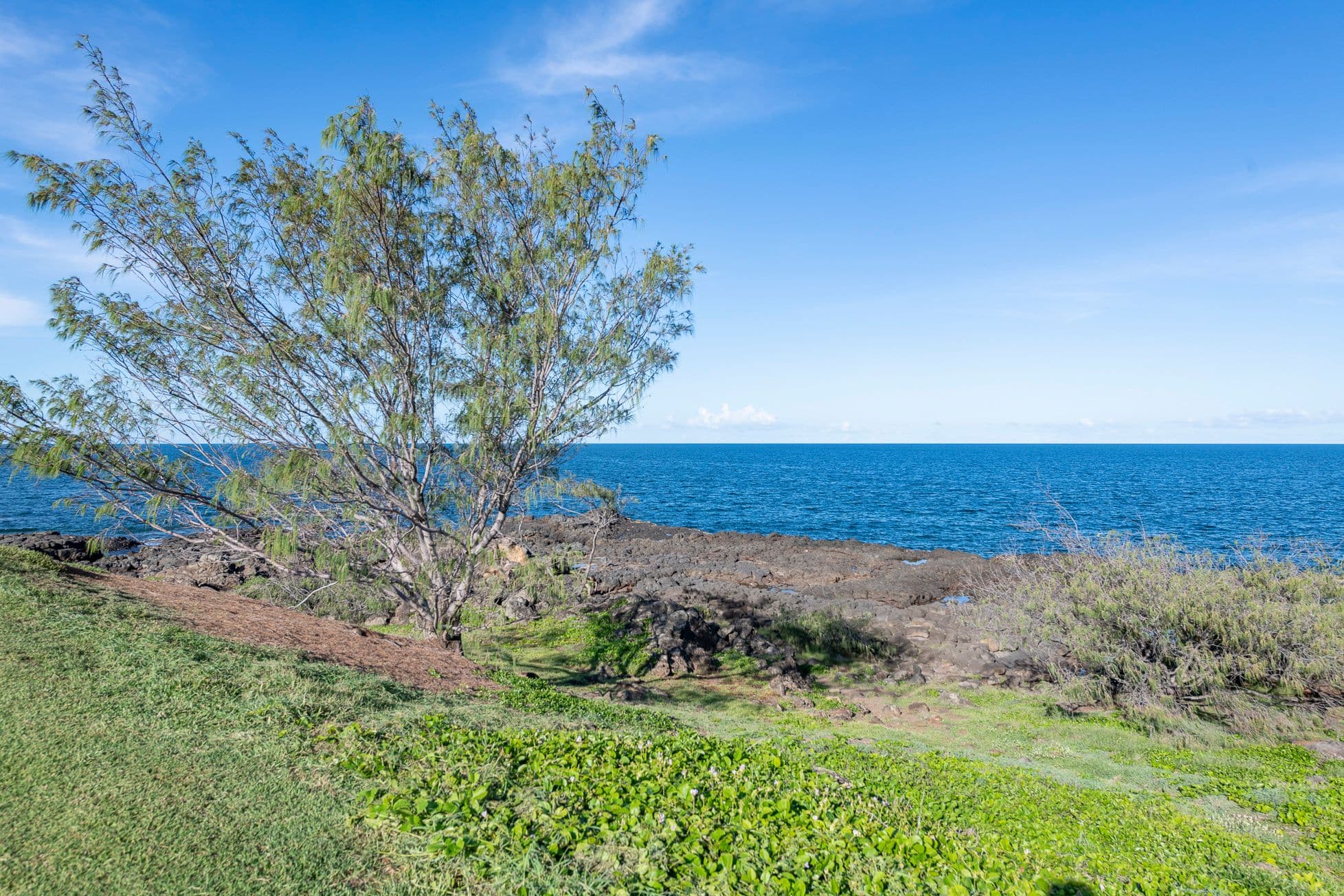 16 Mokera Street, Coral Cove QLD 4670, Coral Cove - Thumbnail 8
