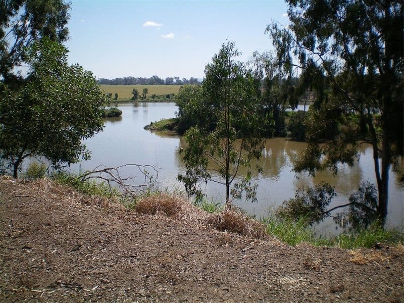 15 Sapphire Road, Dalyellup, WA, 6230, Dalyellup - Thumbnail 5