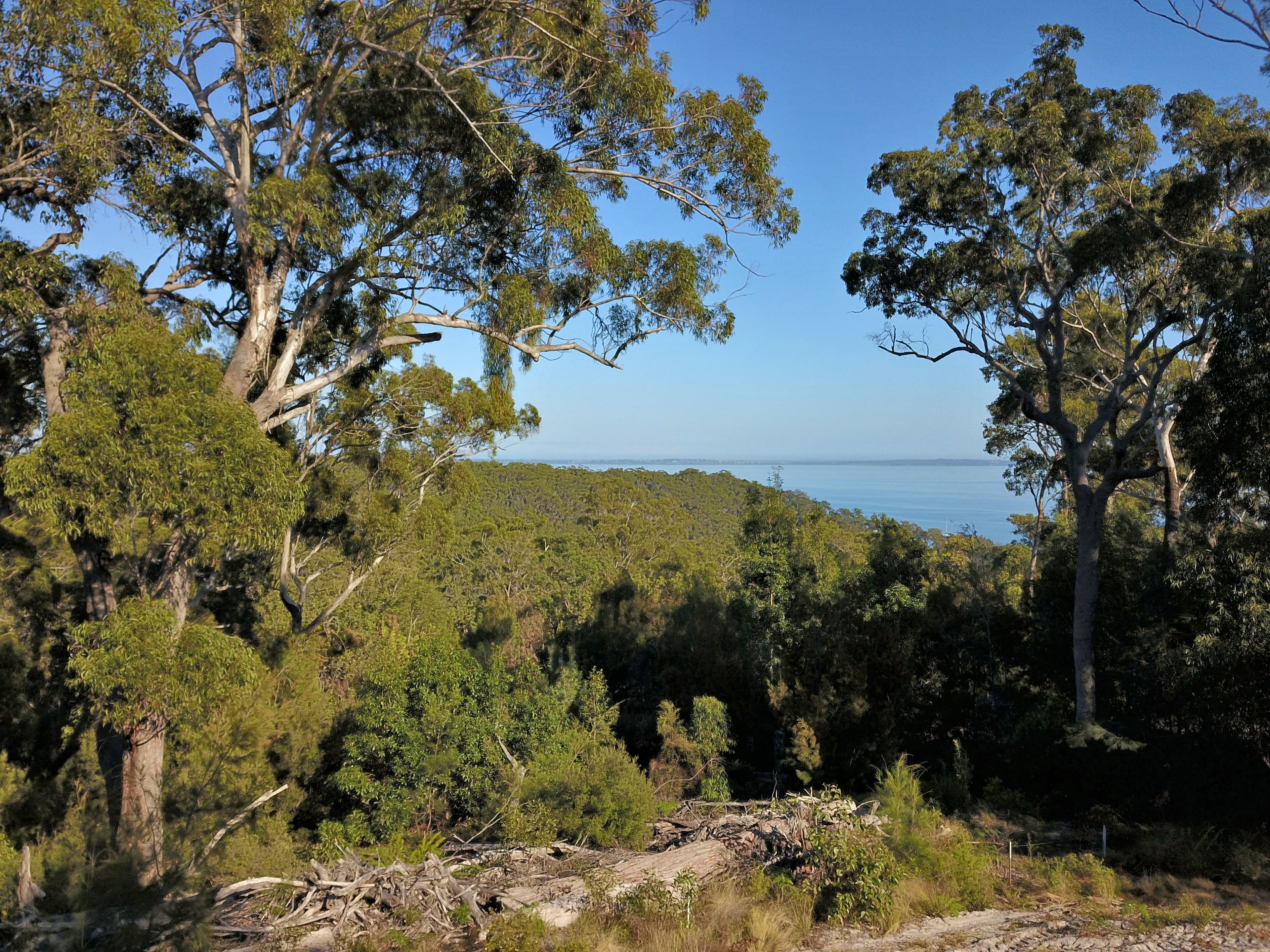 Lot 5 Kingfisher Bay, Fraser Island QLD 4581, Fraser Island - Thumbnail 5