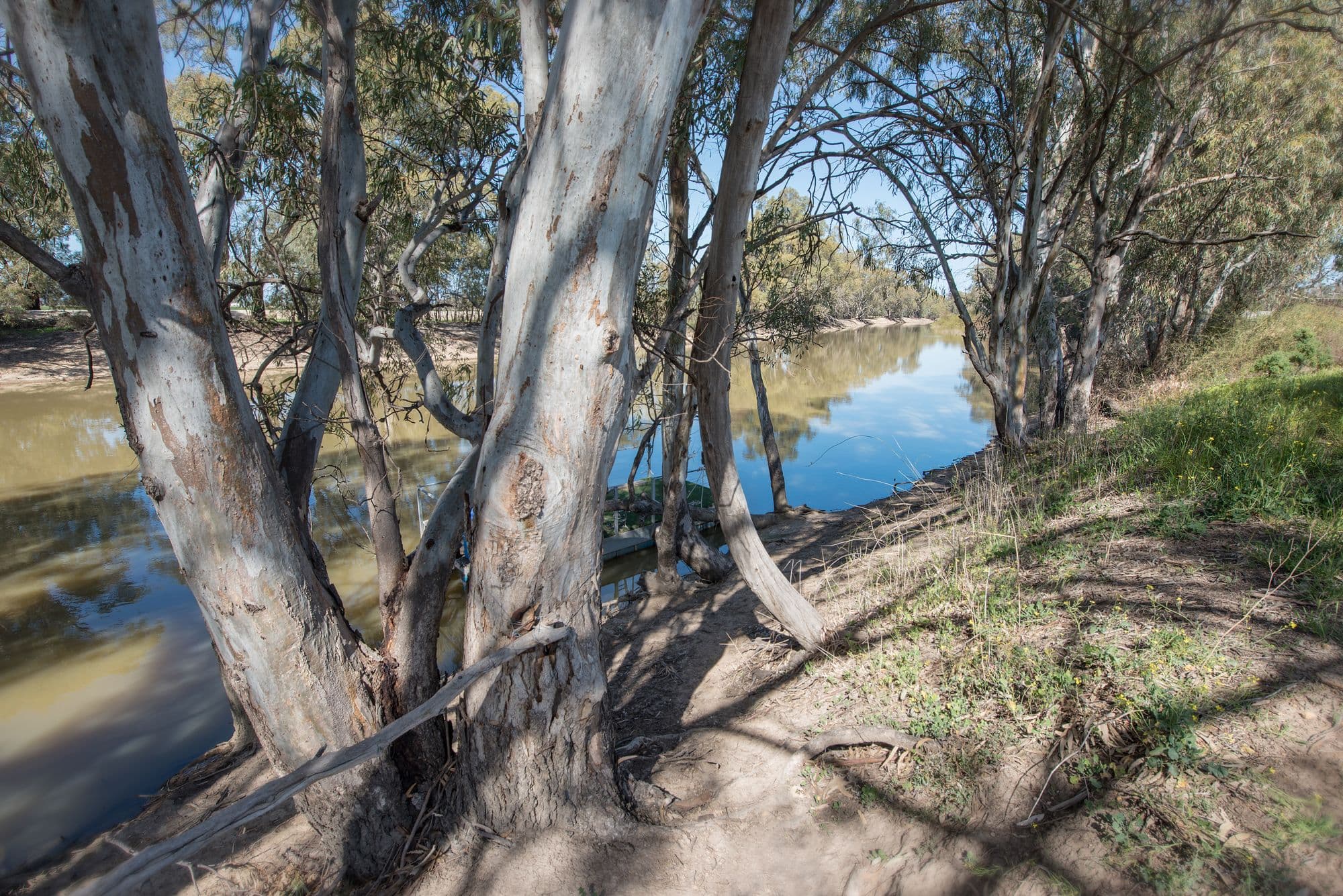 8 El Alamein Avenue, Swan Hill VIC 3585, Swan Hill - Thumbnail 4