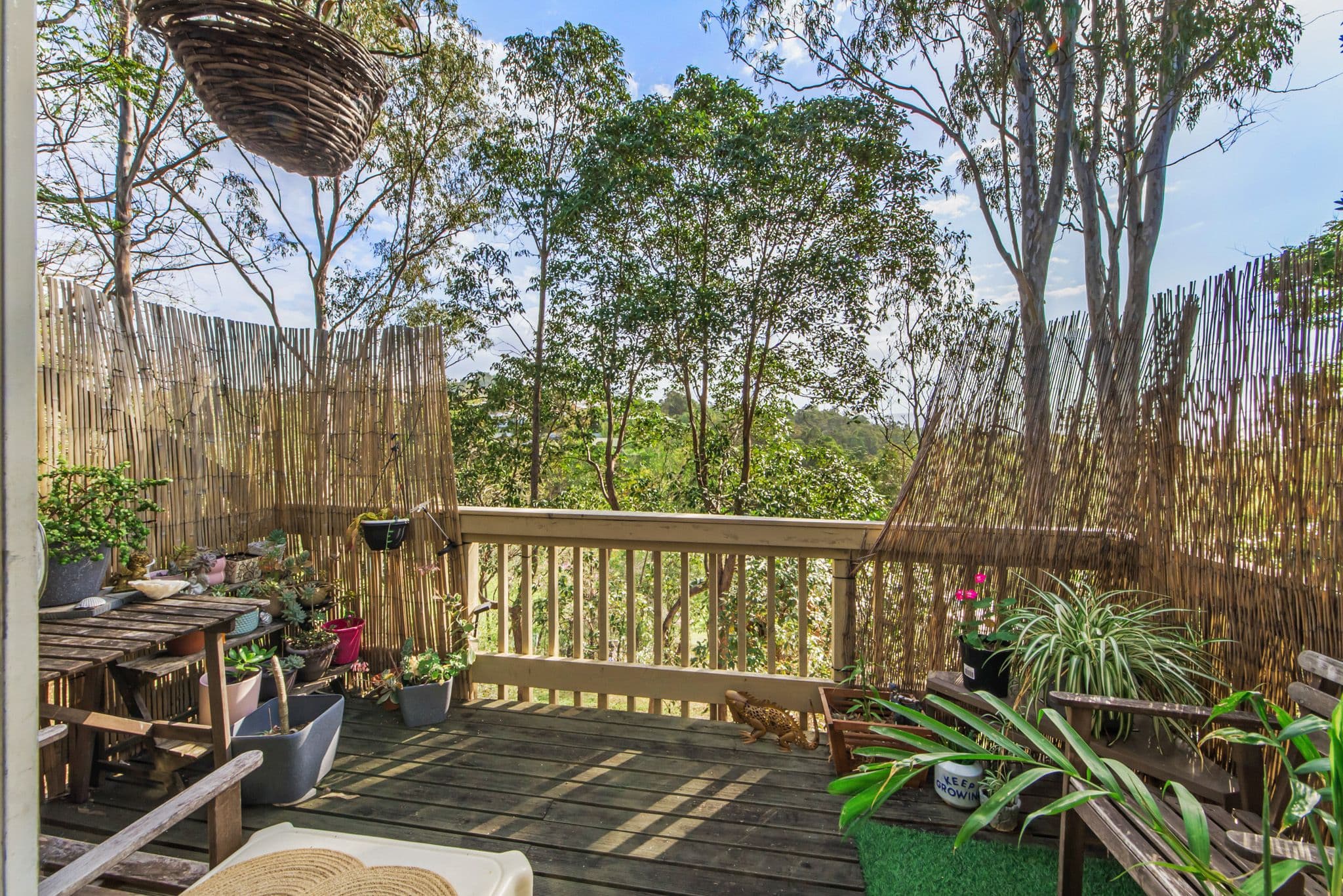2-6 Kilpatrick Court, Highland Park QLD 4211, Highland Park - Thumbnail 2