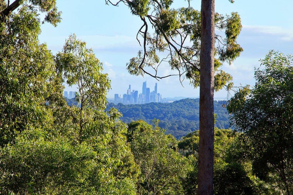 Lot 5 Buckingham Way, ELANORA QLD 4221, Elanora - Thumbnail 3