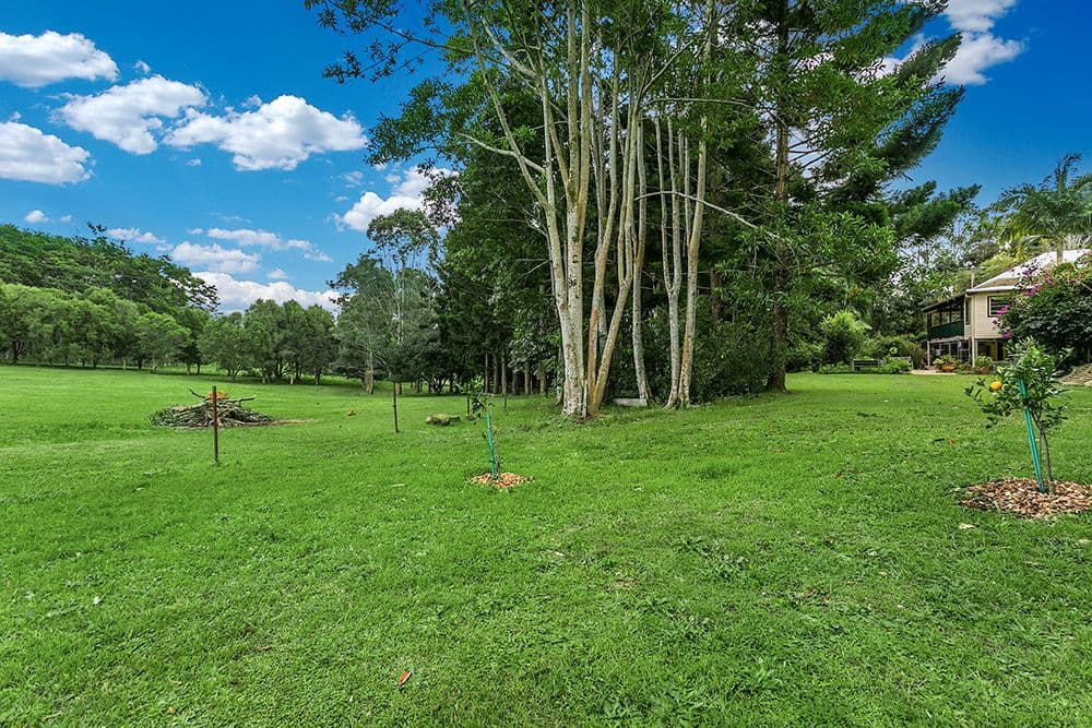 1006 Friday Hut Road, Binna Burra - Thumbnail 3